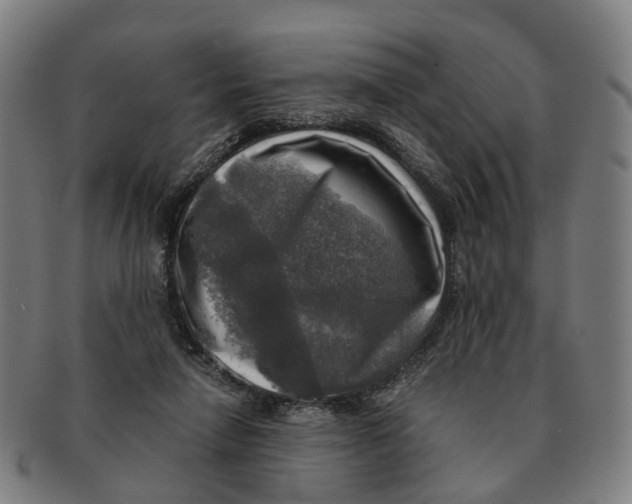 X0000091010258200708301404