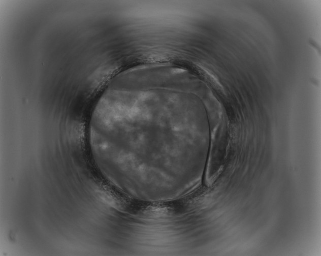X0000091010260200708301405