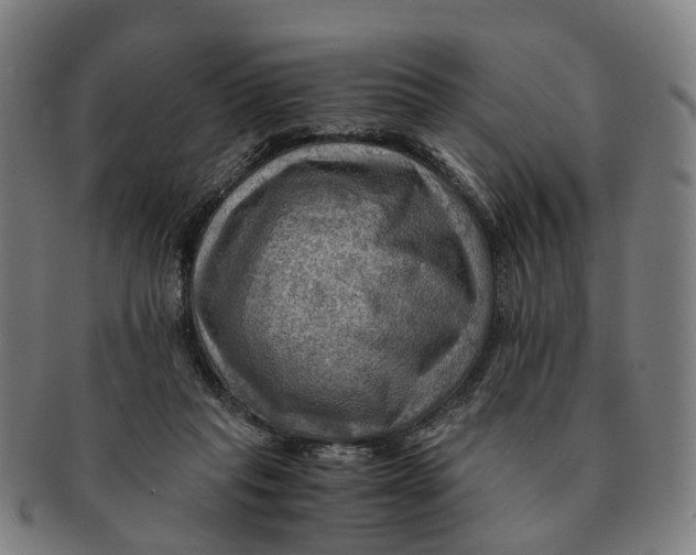 X0000091010261200708301405