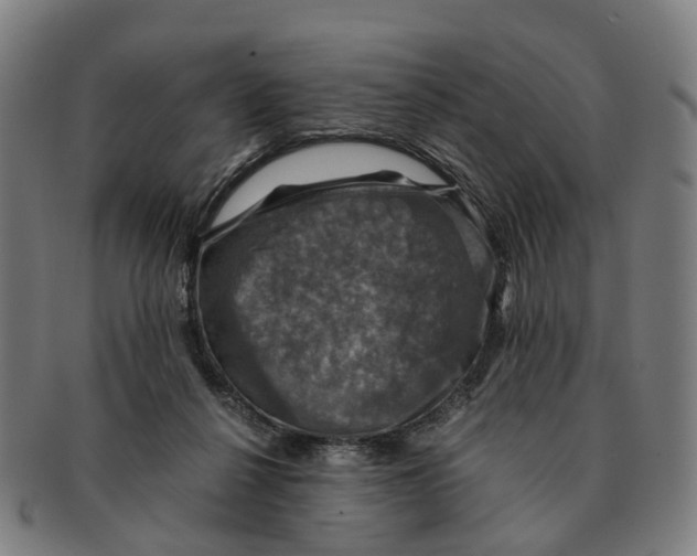 X0000091010264200708301405
