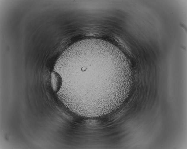 X0000091010265200708301405