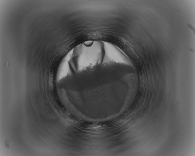 X0000091010267200708301405