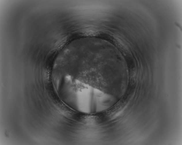 X0000091010268200708301405