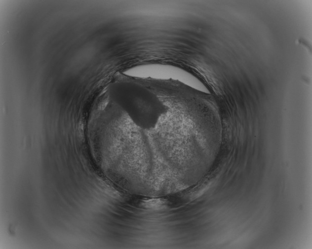 X0000091010269200708301405