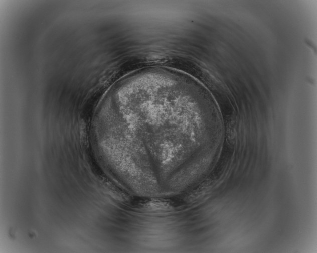 X0000091010270200708301405
