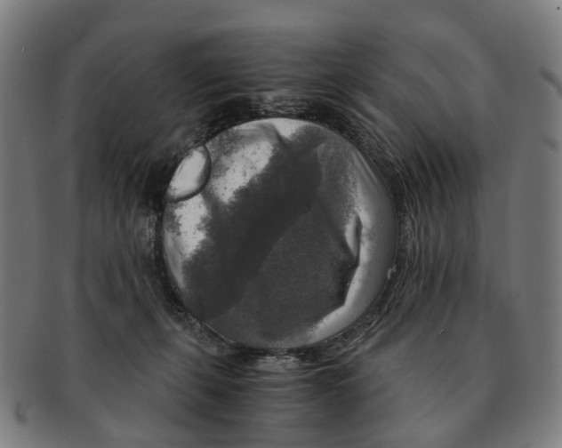 X0000091010271200708301405