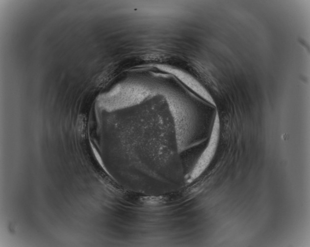 X0000091010273200708301405