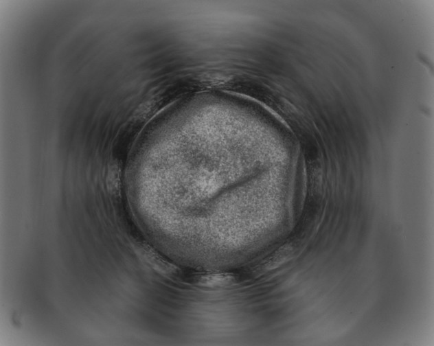 X0000091010274200708301405
