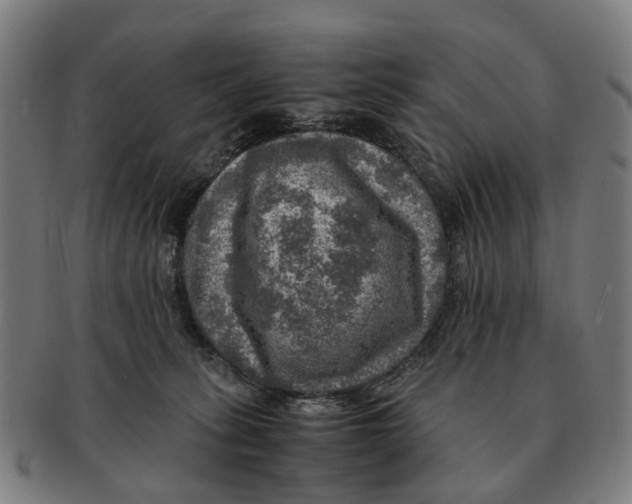 X0000091010275200708301405