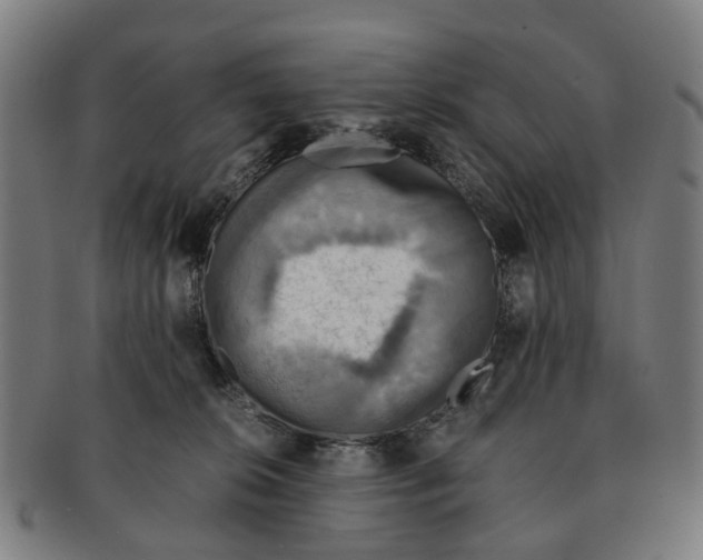 X0000091010276200708301405