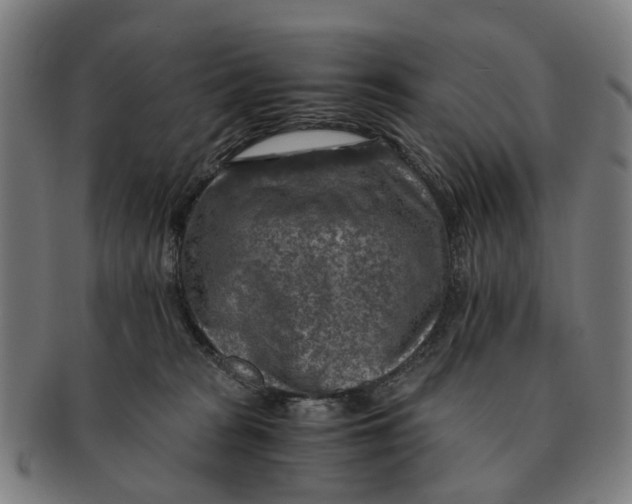 X0000091010277200708301405