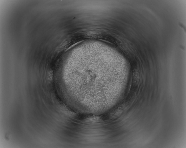 X0000091010278200708301405