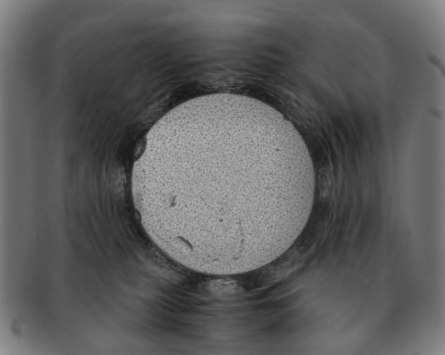 X0000091010279200708301405