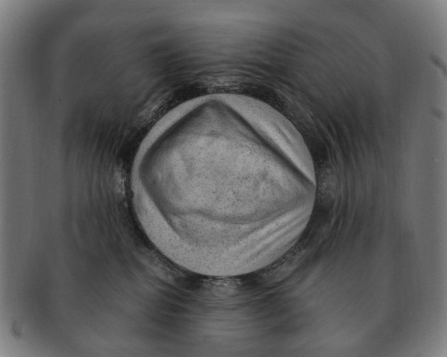 X0000091010282200708301405