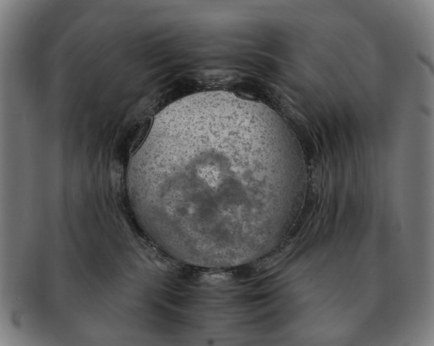 X0000091010283200708301405