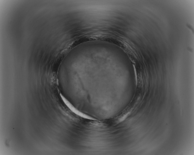 X0000091010284200708301405