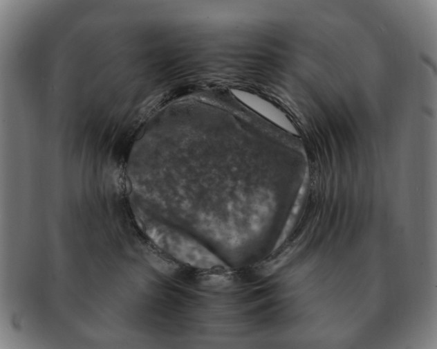 X0000091010285200708301405