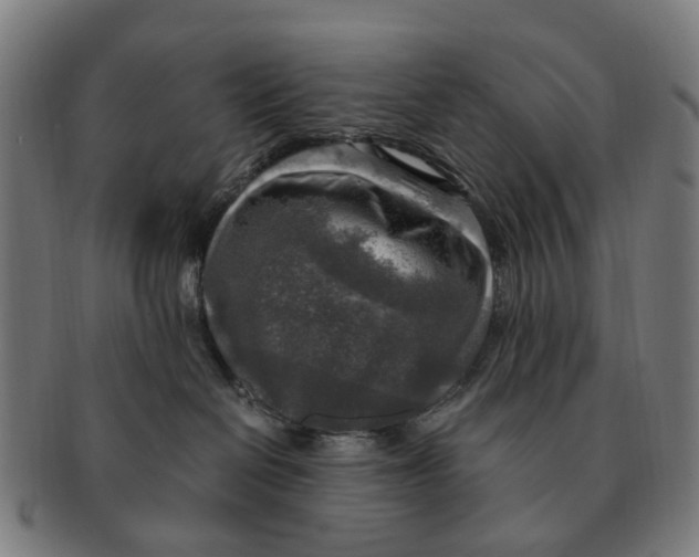 X0000091010286200708301405