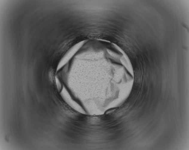 X0000091010287200708301405