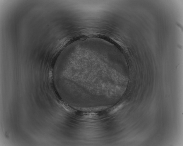 X0000091010288200708301405