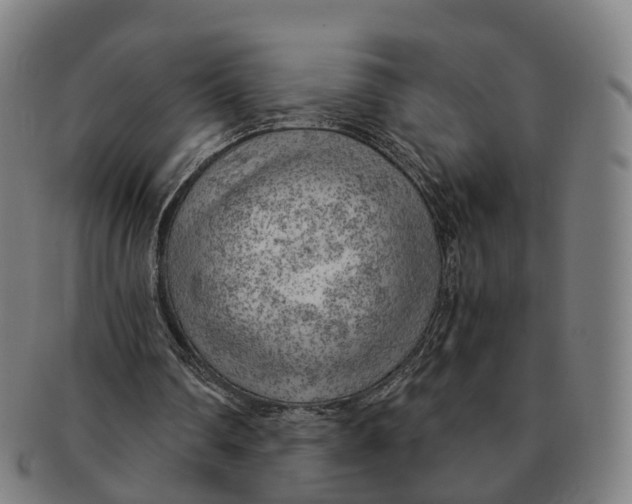 X0000091010290200708301404