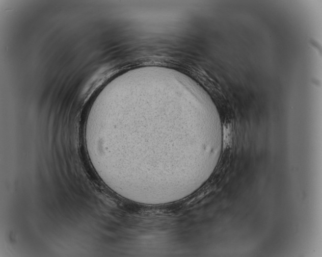 X0000091010291200708301404