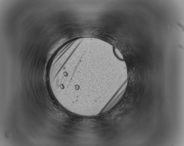 X0000091010292200708301404