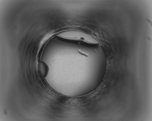 X0000091010294200708301404