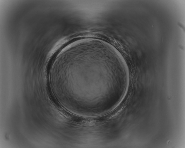X0000091010295200708301404