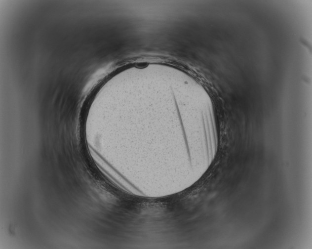 X0000091010296200708301404