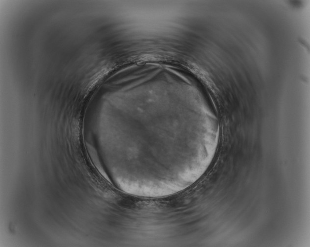 X0000091010297200708301404