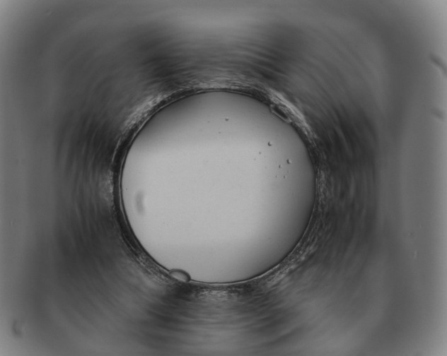 X0000091010298200708301404