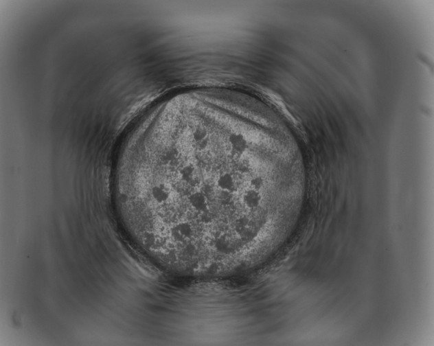 X0000091010299200708301404