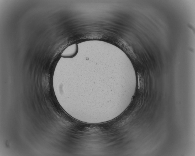 X0000091010300200708301404