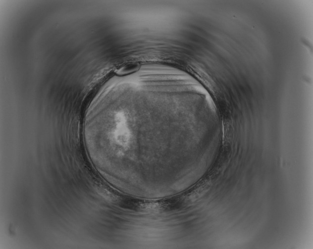X0000091010301200708301404