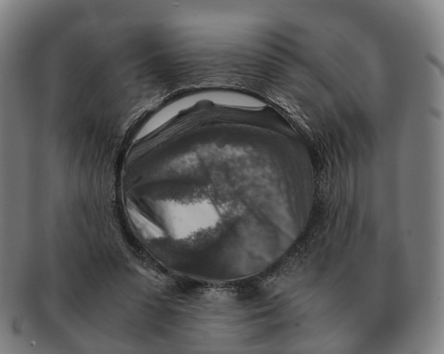 X0000091010303200708301404