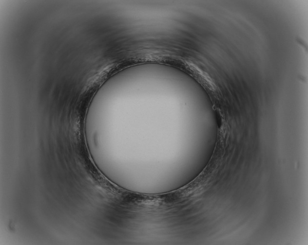 X0000091010306200708301404