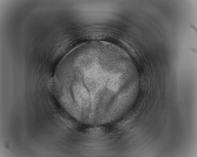 X0000091010307200708301404
