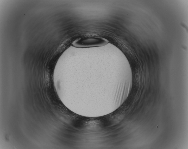 X0000091010312200708301404