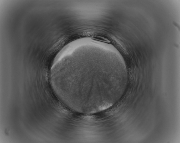 X0000091010313200708301404