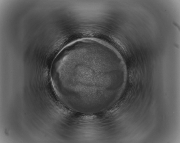 X0000091010314200708301404