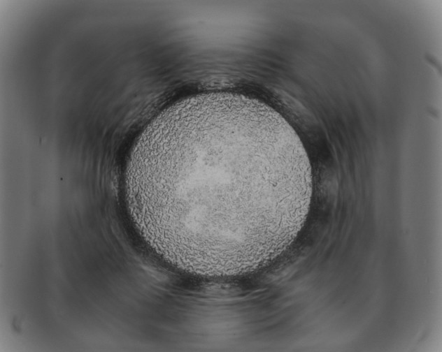 X0000091010315200708301404