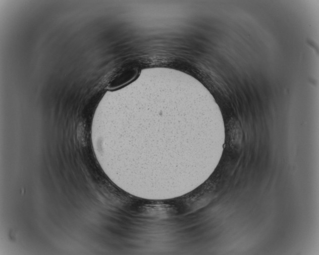 X0000091010316200708301404