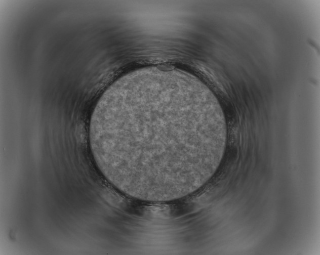X0000091010317200708301404