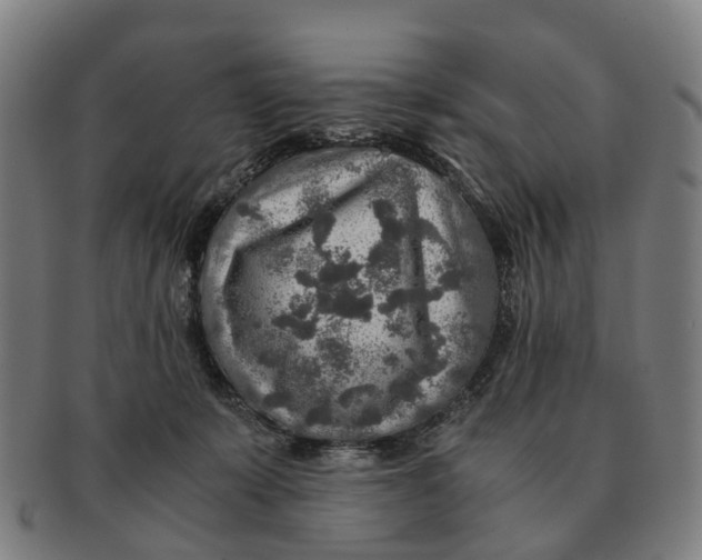 X0000091010319200708301404