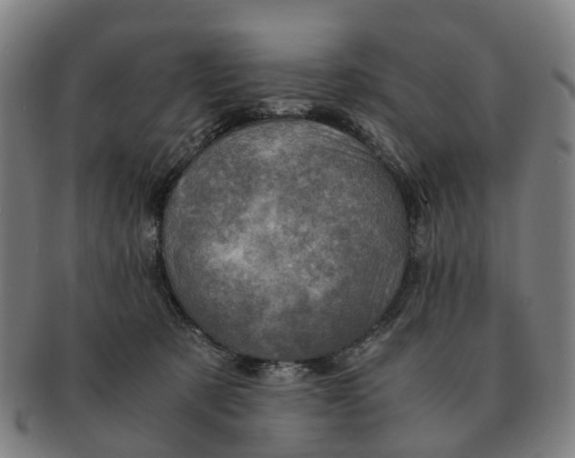 X0000091010321200708301404