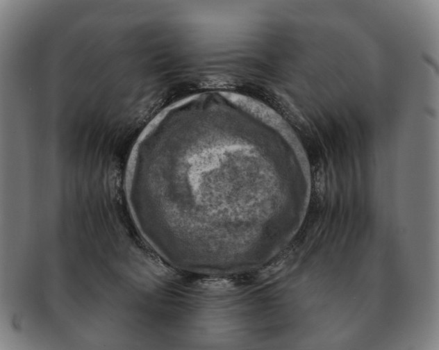 X0000091010322200708301404