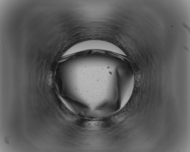 X0000091010323200708301404