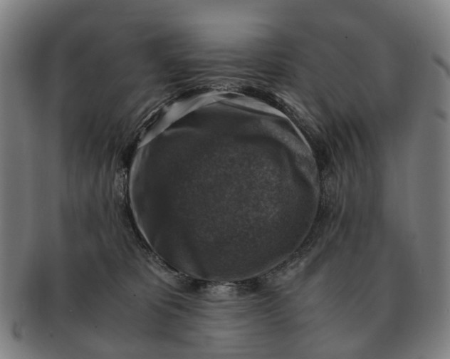 X0000091010325200708301404