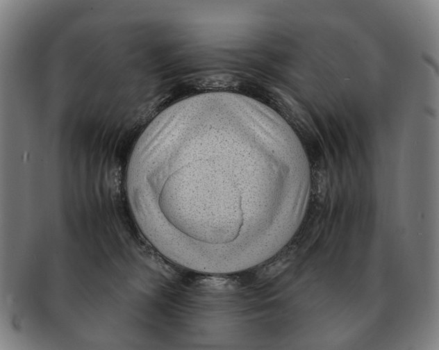 X0000091010326200708301404
